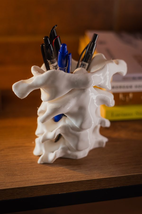 Porta-canetas Coluna Vertebral
