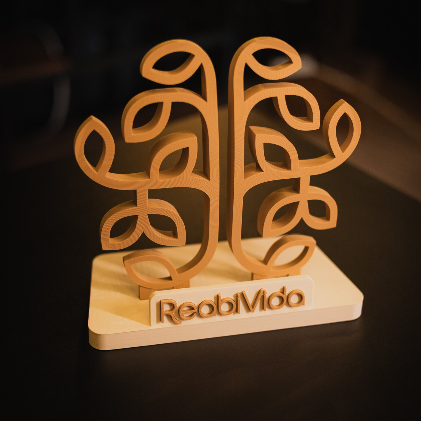 Troféu ReabiVida